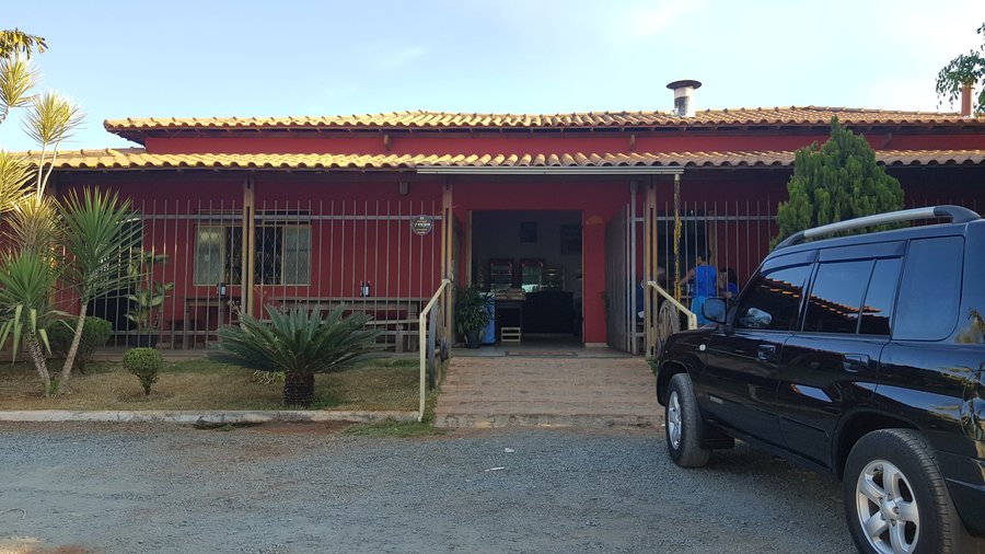 découvrez le monde fascinant des bêtes de toit, une exploration des créatures qui habitent nos toits et les secrets qu'elles renferment. apprenez à mieux connaître ces animaux souvent méconnus et leur impact sur notre environnement.