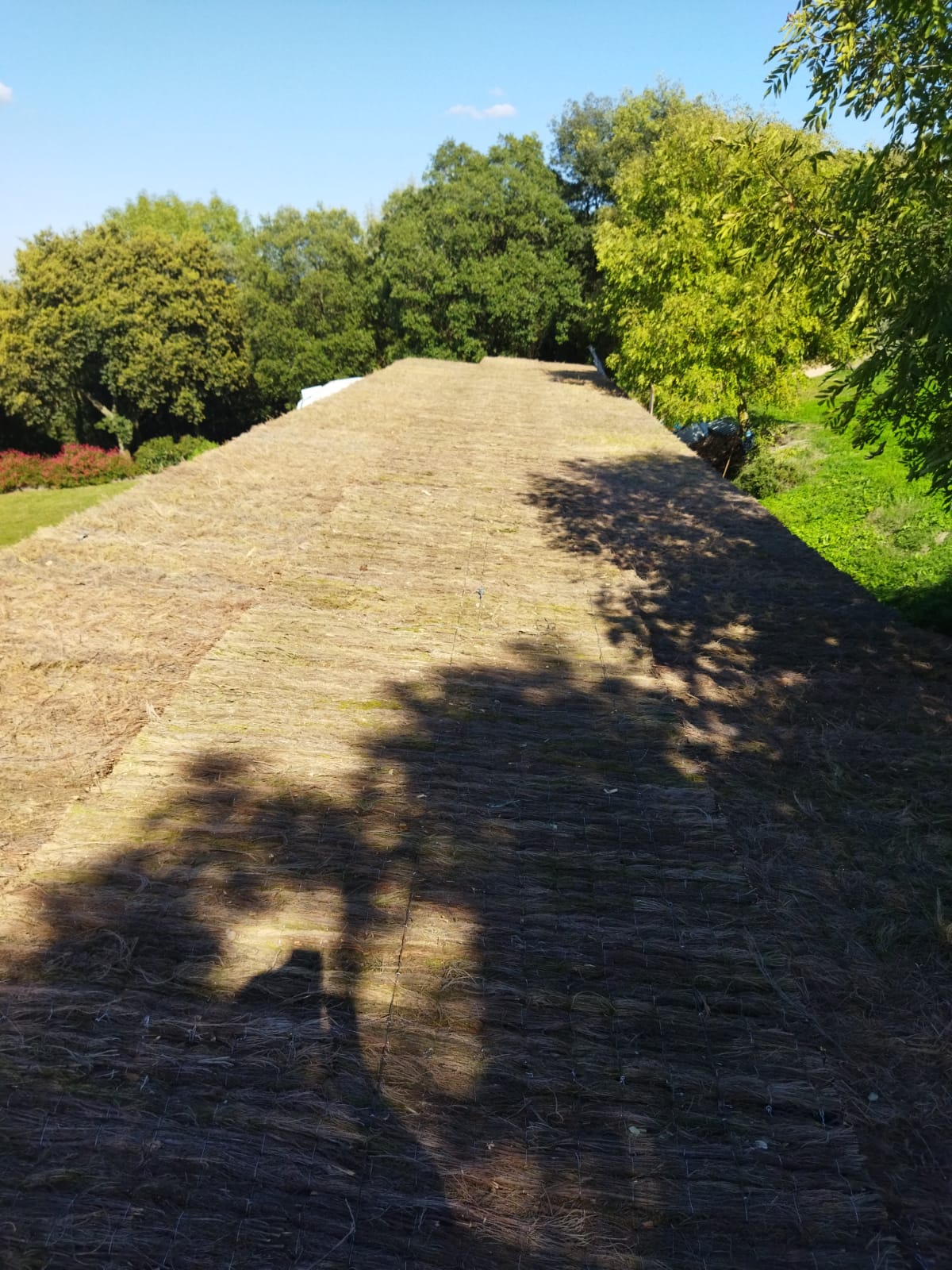 découvrez les avantages de la brande de bruyère pour vos toitures. naturelle et durable, elle offre une excellente isolation tout en apportant un charme intemporel à votre maison. optez pour une couverture éco-responsable qui protège votre habitat des intempéries.