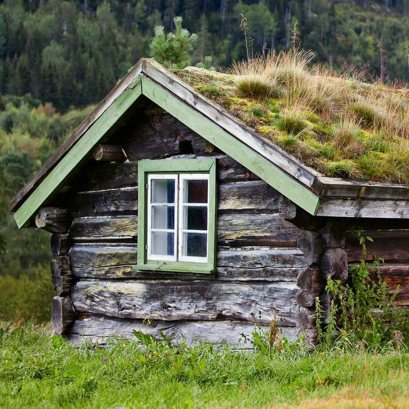 découvrez notre cabane en bois avec un toit végétal, un éco-hébergement unique qui allie confort et respect de l'environnement. profitez d'un espace chaleureux, immergé dans la nature, où la verdure s'invite et vous offre une expérience inoubliable.
