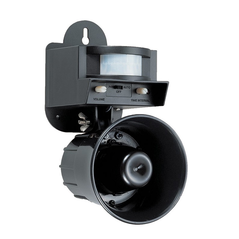 découvrez l'art de la chasse aux oiseaux, une activité passionnante alliant patience et stratégie. apprenez les techniques essentielles, respectez les réglementations et vivez des moments inoubliables en pleine nature. rejoignez-nous pour chasser de manière éthique et responsable.