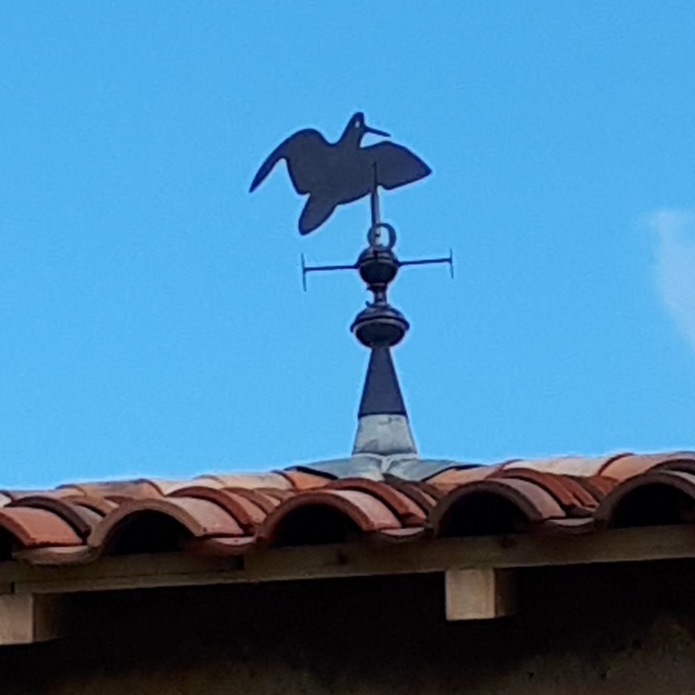 découvrez les meilleures astuces et techniques pour chasser les oiseaux sur votre toit de manière efficace et respectueuse. apprenez à éloigner ces visiteurs indésirables tout en préservant l'harmonie de votre environnement.