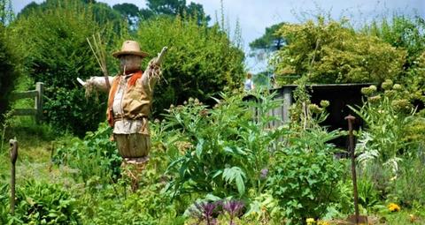 découvrez des conseils pratiques et des stratégies efficaces pour chasser les oiseaux de votre toit. protégez votre maison des nuisances causées par les volatiles tout en respectant l'environnement.