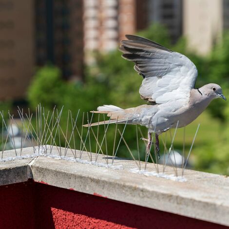 découvrez nos conseils et techniques efficaces pour chasser les pigeons de votre toit. protégez votre maison des nuisances et préservez son esthétique grâce à des méthodes respectueuses de l'environnement.