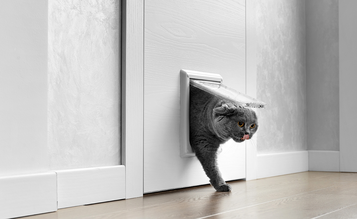 découvrez nos chatières de qualité, conçues pour offrir un accès facile et sécurisé à votre chat tout en préservant l'intimité de votre maison. idéales pour les propriétaires de félins, nos chatières s'adaptent à toutes les portes et fenêtres.