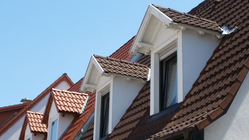 découvrez l'étonnante image d'un chien assis sur un toit, capturant la curiosité et la joie. explorez nos conseils sur la sécurité des animaux et comment les prendre en photo dans des situations inattendues.