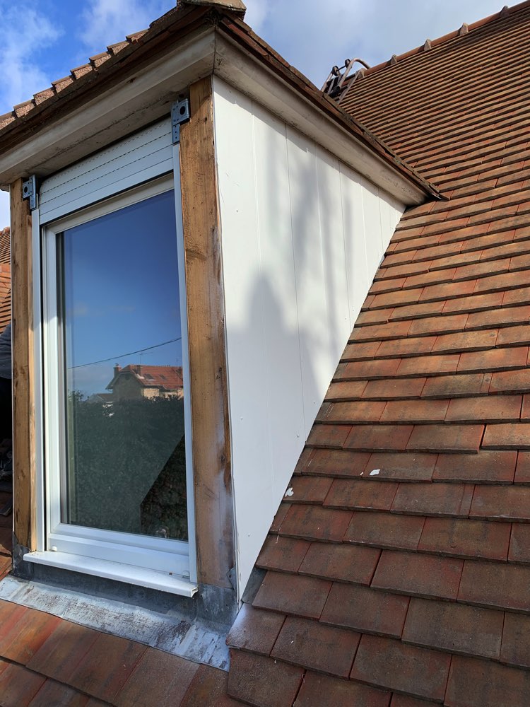 découvrez notre article sur les chiens assis sur le toit ! explorez les raisons derrière ce comportement surprenant et amusant, ainsi que des anecdotes et conseils pour garder votre compagnon à quatre pattes en sécurité. une lecture qui ravira les amoureux des animaux !