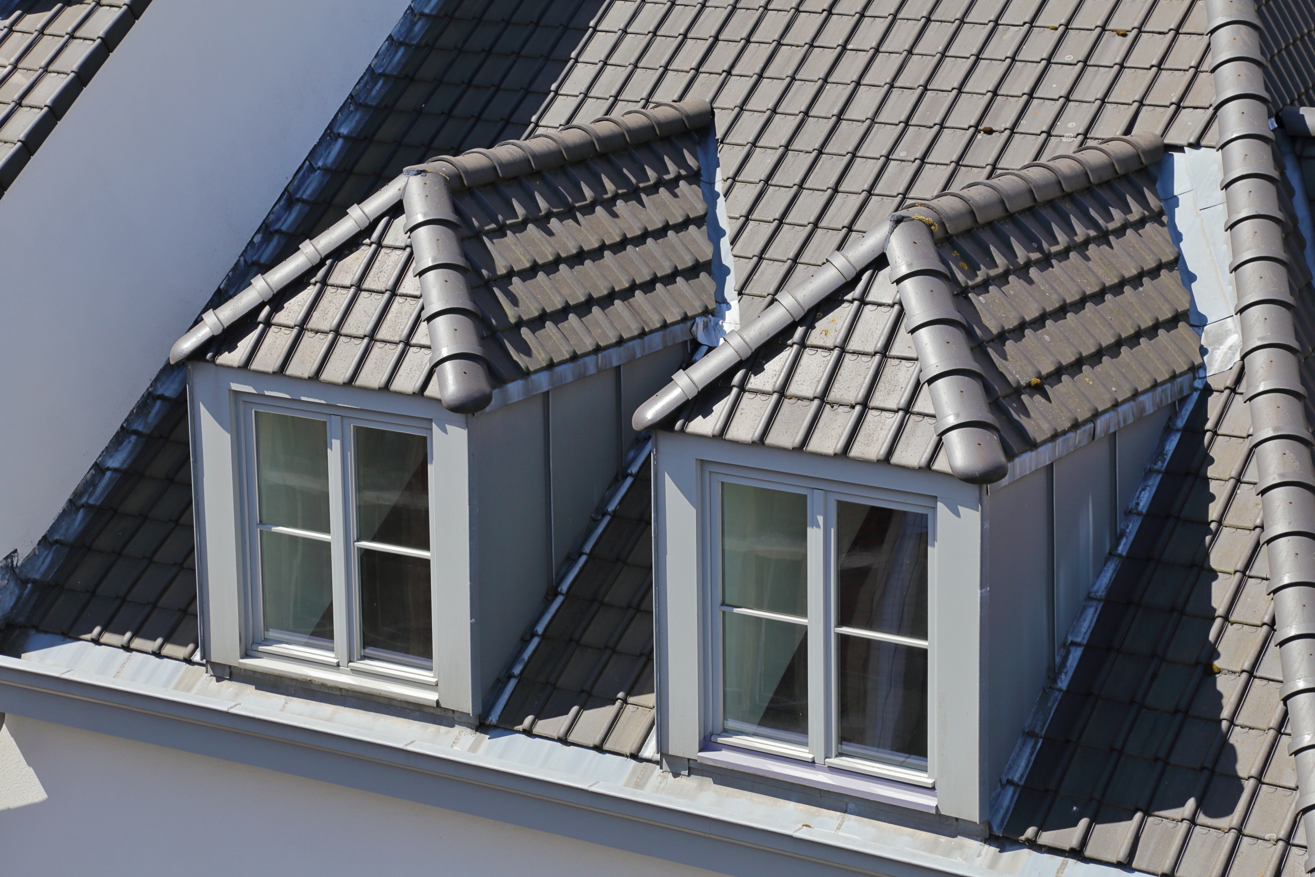 découvrez comment apprendre à votre chien à s'asseoir sur le toit en toute sécurité. nos conseils et astuces vous aideront à renforcer le lien avec votre compagnon à quatre pattes tout en garantissant son bien-être.