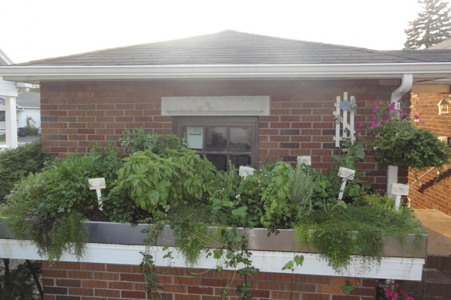 découvrez les avantages et le coût d'un toit vert pour votre habitat. optimisez votre espace tout en contribuant à l'environnement. informez-vous sur les différentes solutions et leur impact financier.