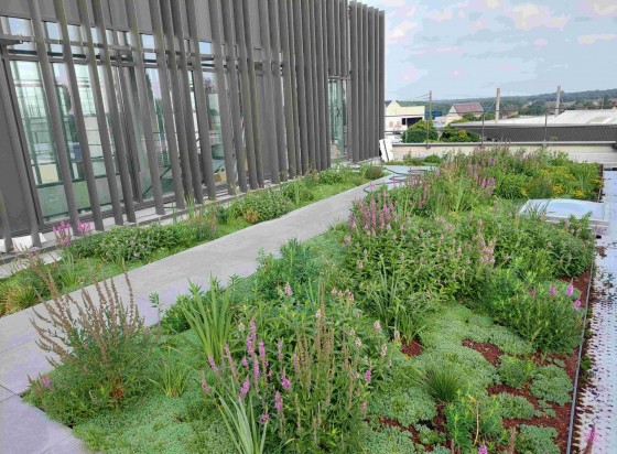 découvrez tout ce qu'il faut savoir sur le coût d'un toit vert, y compris les avantages, les matériaux à considérer et les économies d'énergie potentielles. informez-vous pour faire le meilleur choix pour votre maison et l'environnement.