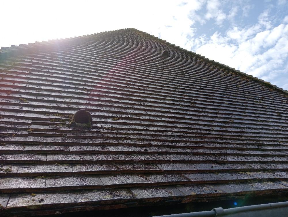 découvrez nos services de démoussage de toit pour redonner une nouvelle vie à votre couverture. éliminez les lichens, mousses et algues tout en préservant l'intégrité de votre toiture.