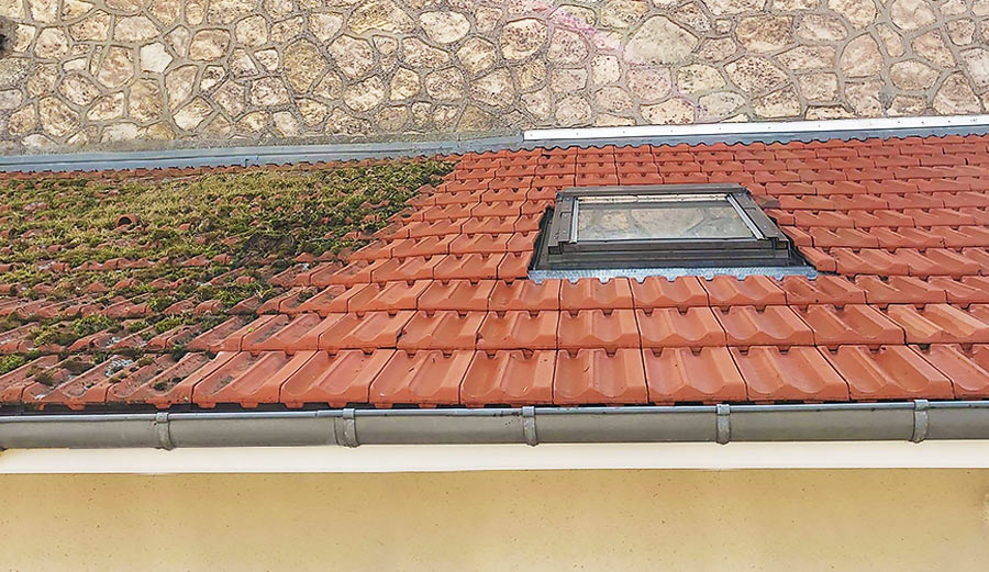 découvrez notre service de démoussage de toit, qui élimine efficacement la mousse et les algues pour prolonger la durée de vie de votre toiture. protégez votre maison des dommages causés par l'humidité et assurez une esthétique impeccable. contactez-nous dès aujourd'hui pour un devis gratuit !