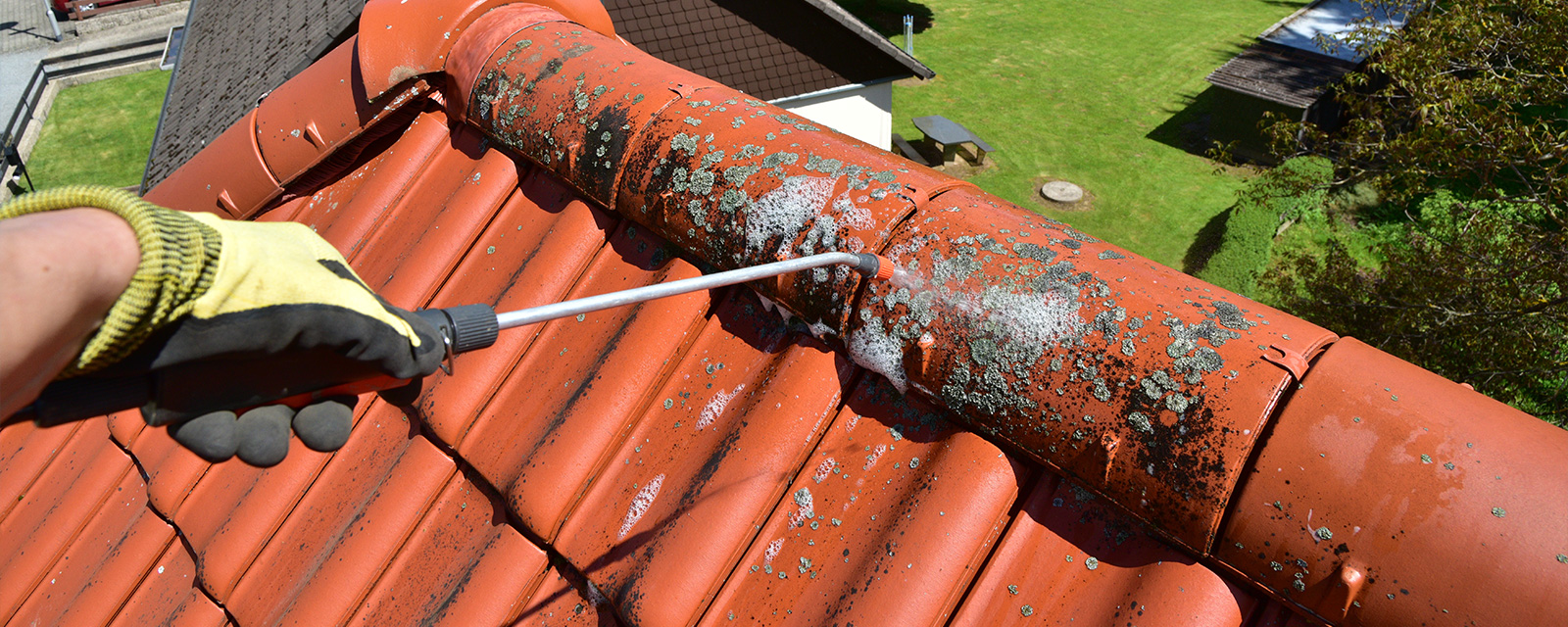 découvrez nos solutions efficaces de démoussant toiture pour prolonger la durée de vie de votre couverture. éliminez les mousses et lichens et redonnez à votre toiture son éclat d'origine avec des produits respectueux de l'environnement.