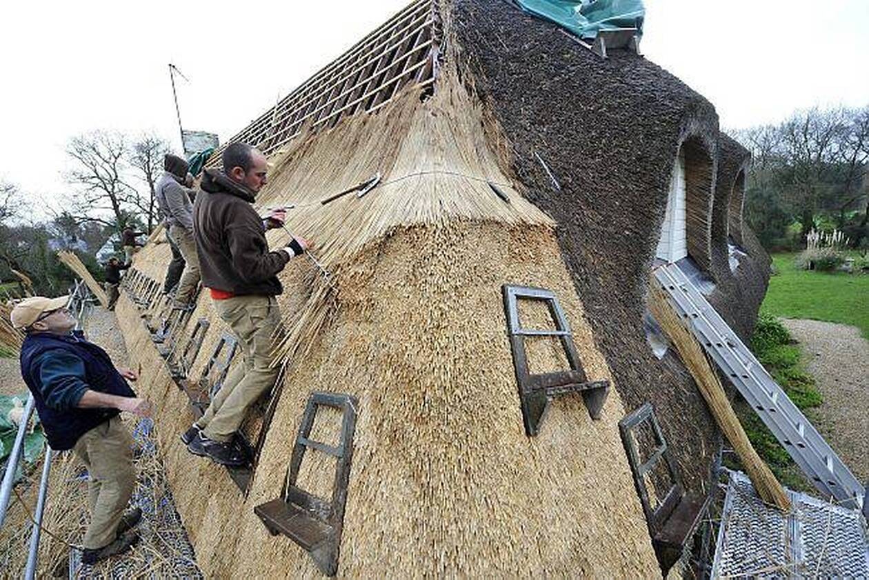 découvrez la durée de vie d'un toit en chaume, un matériau traditionnel et écologique. informez-vous sur son entretien, ses avantages et comment maximiser sa longévité pour préserver l'esthétique de votre maison tout en respectant l'environnement.