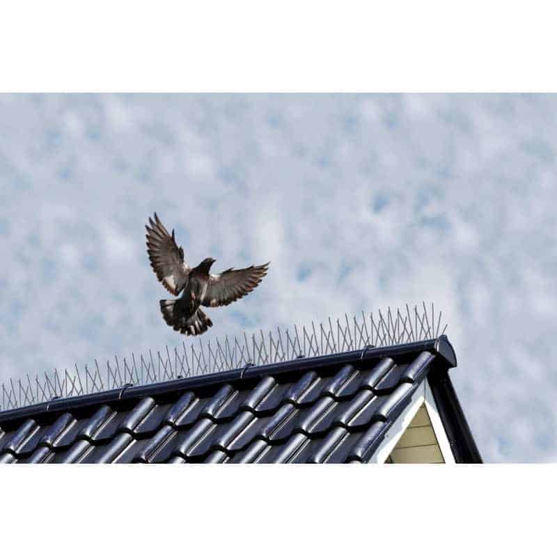 découvrez des astuces efficaces pour éloigner les oiseaux de votre toit. protégez votre maison des nuisances et maintenez un environnement serein grâce à nos conseils pratiques et respectueux de l'environnement.