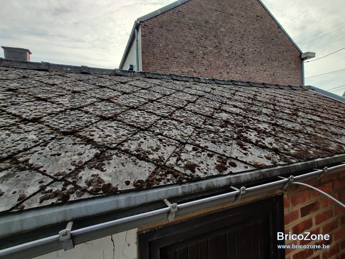 découvrez nos conseils efficaces pour enlever la mousse de votre toit. protégez votre maison et prolongez la durée de vie de votre toiture en suivant nos méthodes simples et sûres.