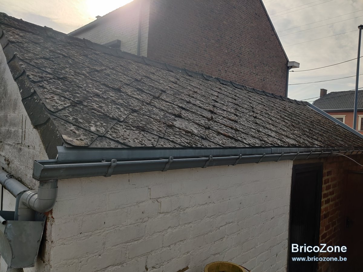 découvrez nos astuces et techniques efficaces pour enlever la mousse sur votre toit. protégez votre toiture et prolongez sa durée de vie grâce à nos conseils pratiques et à des produits adaptés.