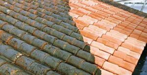 découvrez nos conseils pratiques pour enlever la mousse de votre toit facilement et efficacement. protégez votre maison tout en préservant l'esthétique de votre toiture grâce à nos méthodes simples et naturelles.