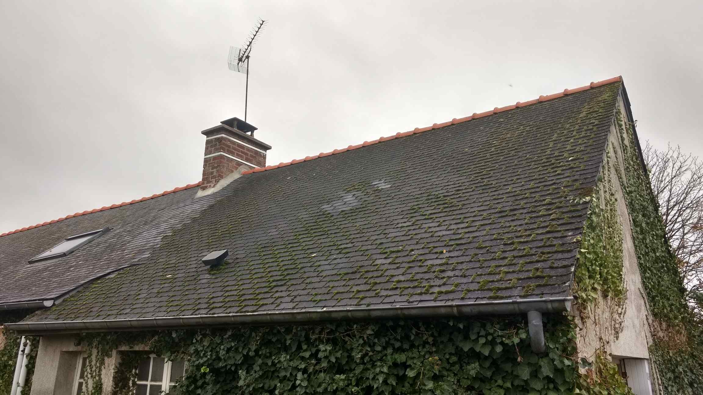 découvrez nos conseils et astuces pour enlever la mousse sur votre toit. prolongez la durée de vie de votre toiture et améliorez l'esthétique de votre maison grâce à nos solutions efficaces et respectueuses de l'environnement.