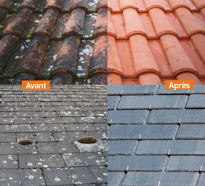 découvrez nos conseils pratiques pour enlever la mousse de votre toit. protégez votre maison et prolongez la durée de vie de votre toiture avec nos astuces efficaces et faciles à appliquer.