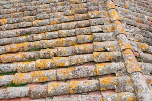 découvrez nos conseils pour enlever la mousse sur les toits en tuile. apprenez les techniques efficaces et les produits adaptés pour restaurer l'esthétique et la durabilité de votre toiture en tuile.