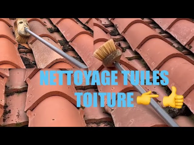 découvrez nos conseils et astuces pour enlever efficacement la mousse sur votre toit en tuiles. protégez votre habitation et préservez l'esthétisme de votre toiture avec nos techniques simples et pratiques.
