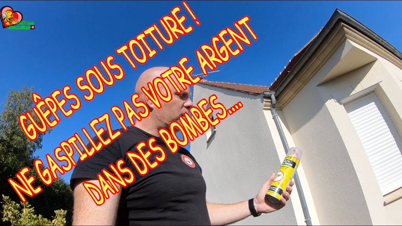 découvrez nos conseils pratiques pour enlever un nid de guêpes situé sur votre toit en toute sécurité. apprenez les étapes à suivre pour protéger votre maison et éviter les piqûres tout en préservant l'environnement.