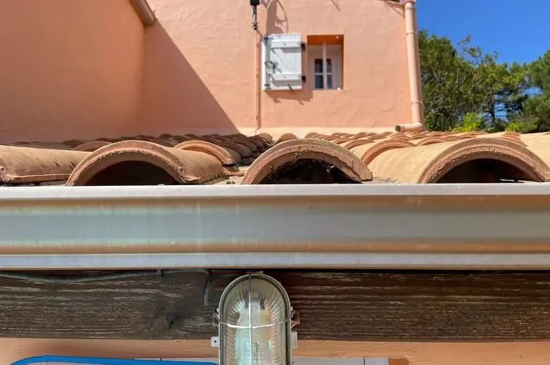 découvrez nos conseils et techniques pour enlever un nid de guêpes sur votre toit en toute sécurité. protégez votre espace extérieur tout en évitant les piqûres grâce à nos astuces pratiques et nos recommandations de professionnels.