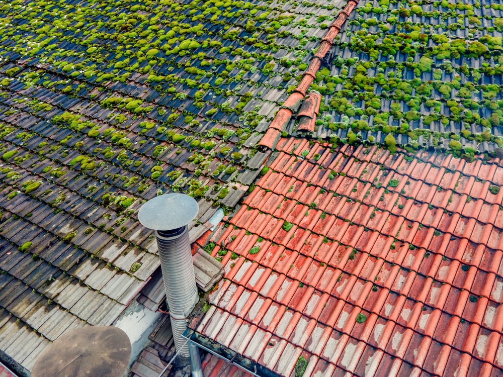 découvrez nos services professionnels pour enlever votre toit en toute sécurité. nous assurons une déconstruction rapide et efficace tout en protégeant votre propriété. contactez-nous pour un devis personnalisé et des conseils d'experts.