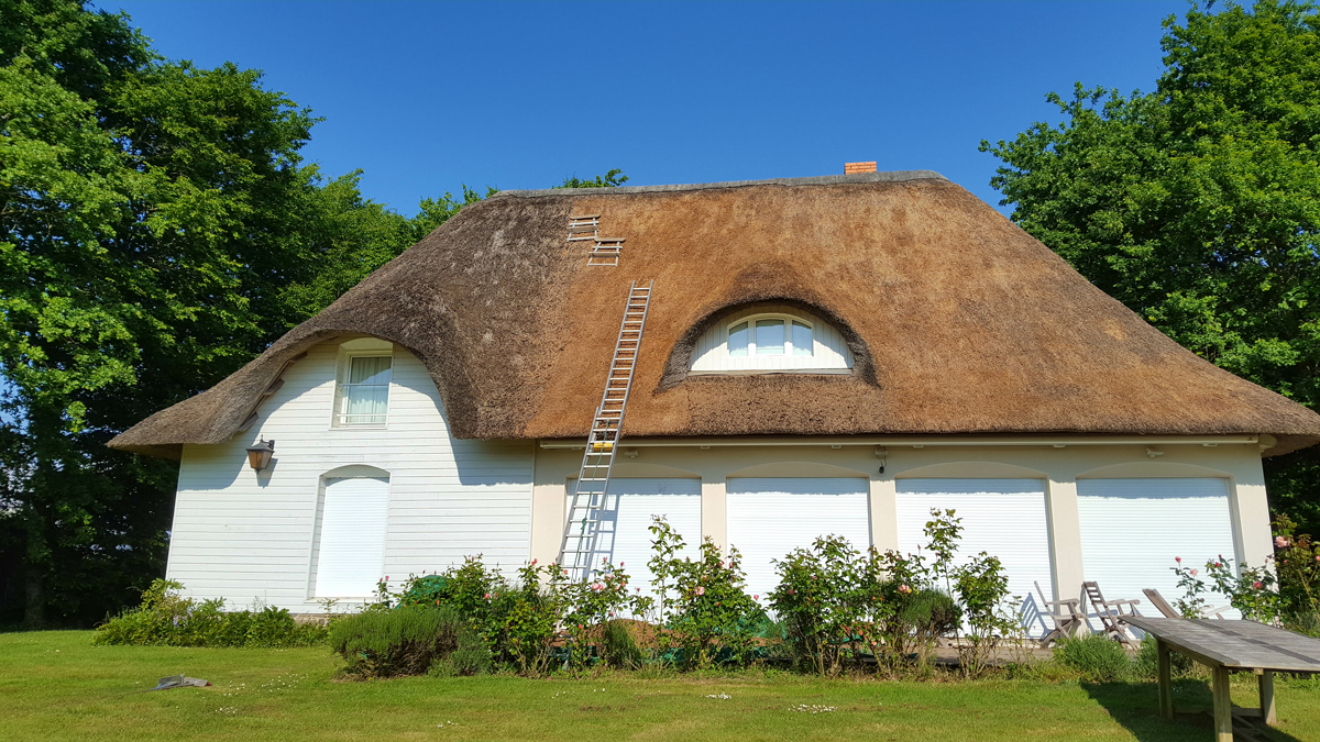 découvrez nos conseils et astuces pour un entretien efficace de votre chaume. optimisez la gestion de vos cultures en préservant l'environnement et en favorisant la biodiversité.