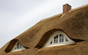 découvrez nos conseils pratiques pour l'entretien du chaume, afin de préserver la santé de vos cultures et d'optimiser la gestion de vos terres agricoles.