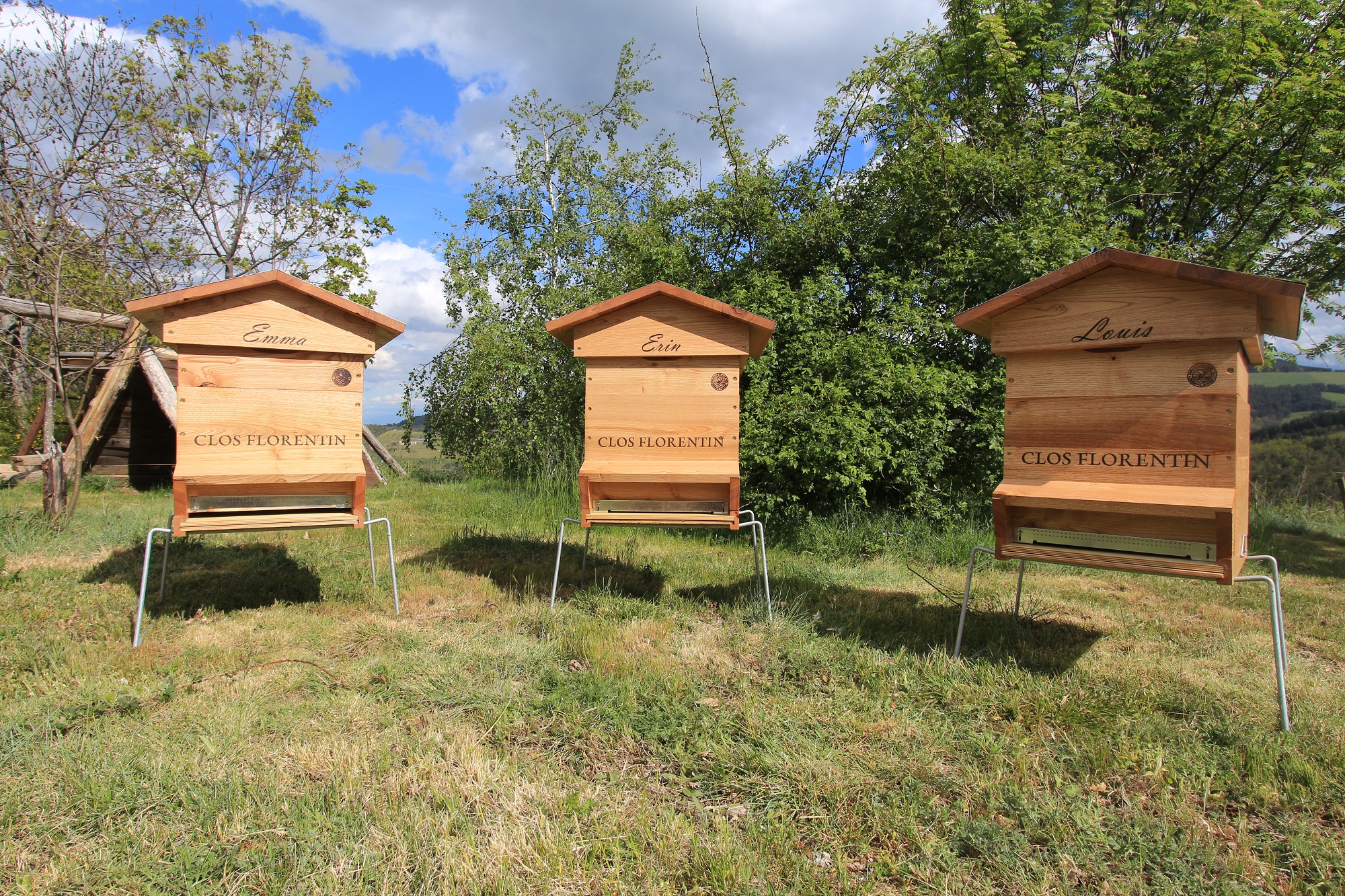 découvrez comment fabriquer un toit de ruche efficace et durable pour protéger vos abeilles. suivez nos conseils pratiques et astuces pour concevoir une structure adaptée aux besoins de vos insectes pollinisateurs tout en assurant leur confort et leur sécurité.