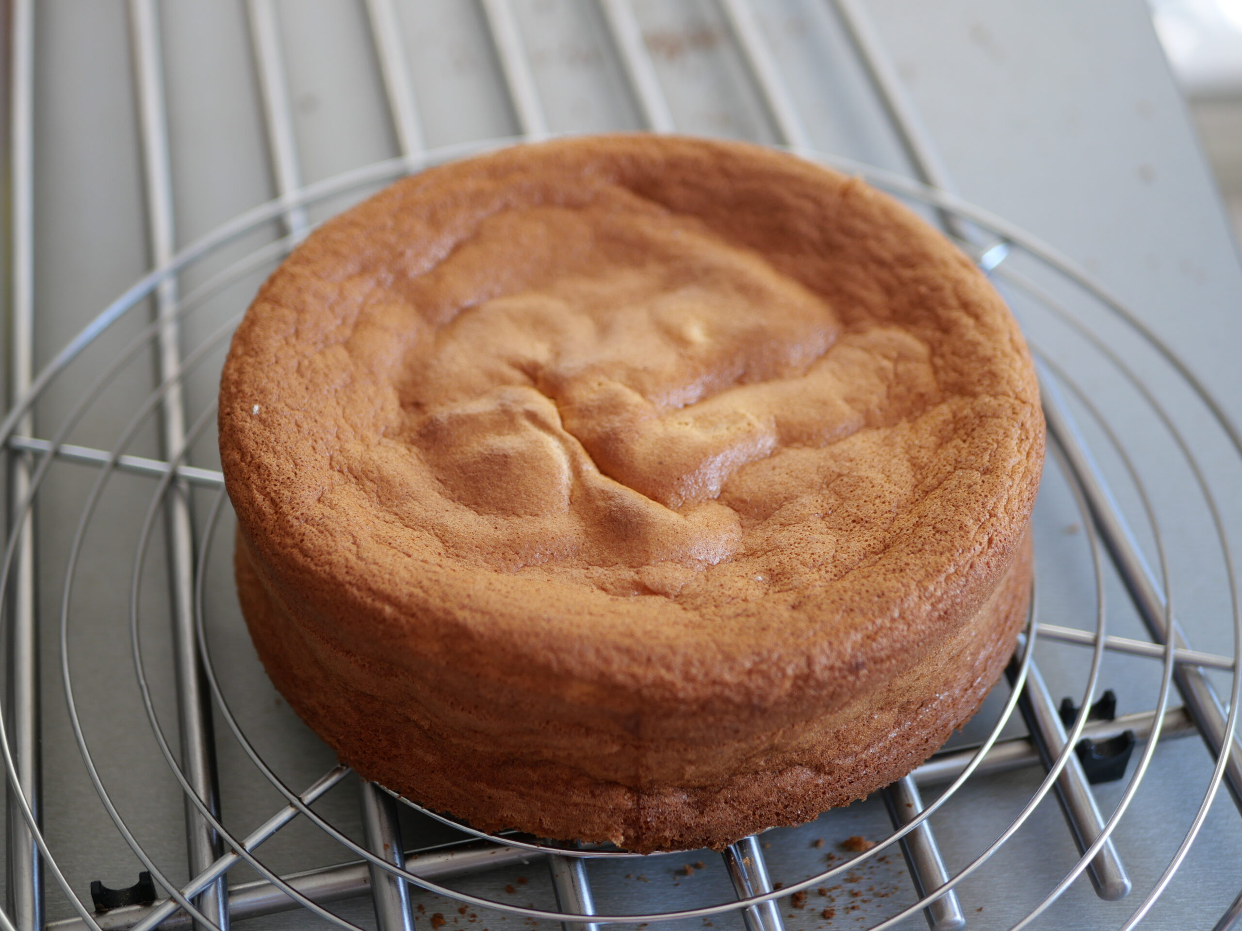 découvrez la délicieuse génoise, un gâteau léger et moelleux, parfait pour toutes vos occasions. apprenez à préparer cette recette classique qui séduira petits et grands, que ce soit pour un dessert, un goûter ou un entremets. éveillez vos papilles avec des astuces et variations créatives!