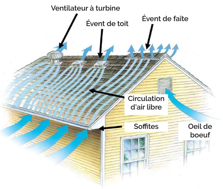 découvrez comment installer un aérateur de toit pour améliorer la ventilation de votre maison. suivez nos conseils pratiques et astuces pour garantir un espace de vie sain et bien aéré.
