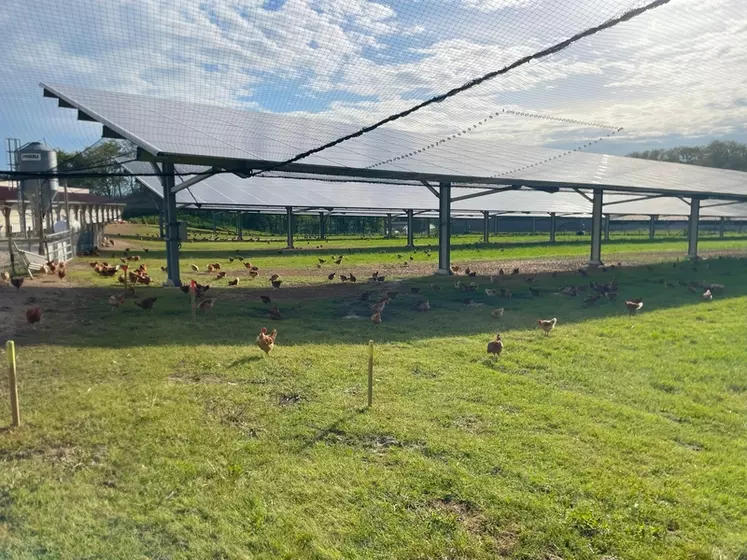 découvrez tout ce que vous devez savoir sur les labels photovoltaïques : normes de qualité, certifications et conseils pour choisir des panneaux solaires fiables et performants pour vos projets d'énergie verte.