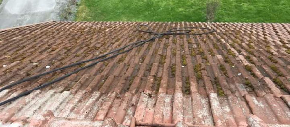découvrez tout sur la mousse de toit : ses causes, ses impacts sur l'étanchéité et l'esthétique de votre toiture, ainsi que des conseils pour son élimination et sa prévention. protégez votre maison avec des solutions efficaces et durables.