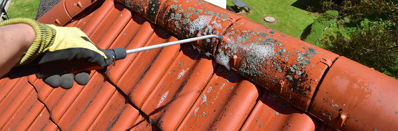 découvrez nos services de nettoyage sous toit pour garantir la propreté et la durabilité de votre habitation. profitez d'une expertise professionnelle pour éliminer la poussière, les toiles d'araignées et les débris, tout en préservant l'intégrité de votre maison.