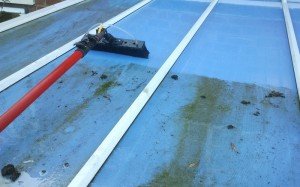 découvrez nos services de nettoyage de toit en polycarbonate pour préserver la clarté et la durabilité de vos surfaces. profitez d'un entretien professionnel et efficace, éliminant les impuretés et les moisissures pour un toit impeccable !