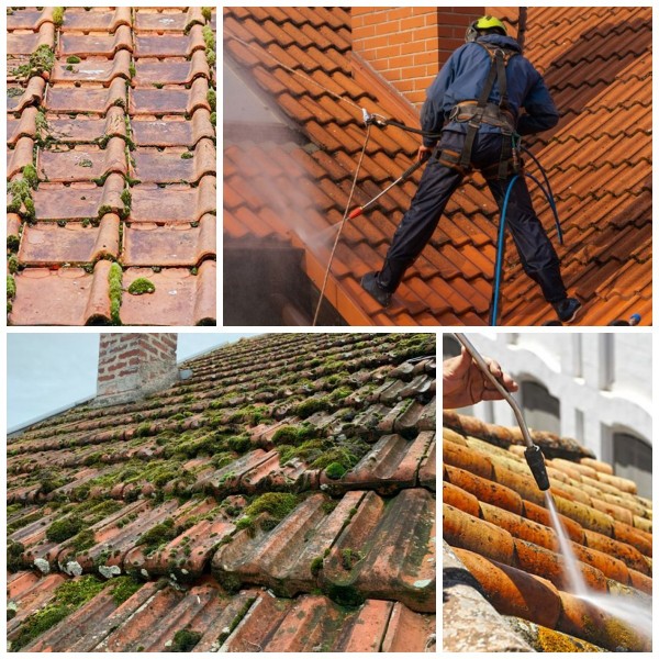 découvrez nos services professionnels de nettoyage de toits en polycarbonate, garantissant l'élimination des salissures et le maintien de la clarté de vos structures. prolongez la durée de vie de votre toiture avec notre expertise et nos produits adaptés.