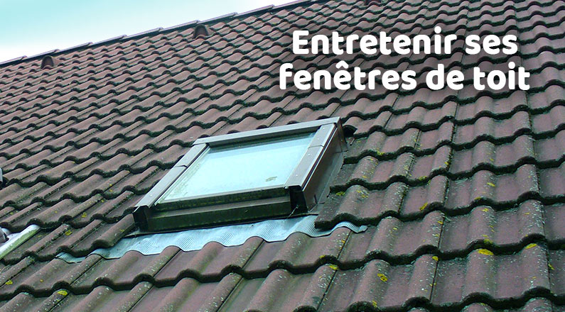 découvrez notre service expert en nettoyage de toits vitrés. nous garantissons une propreté éclatante et une visibilité optimale grâce à des techniques adaptées et des produits respectueux de l'environnement. redonnez à votre toiture toute sa brillance tout en préservant son intégrité.