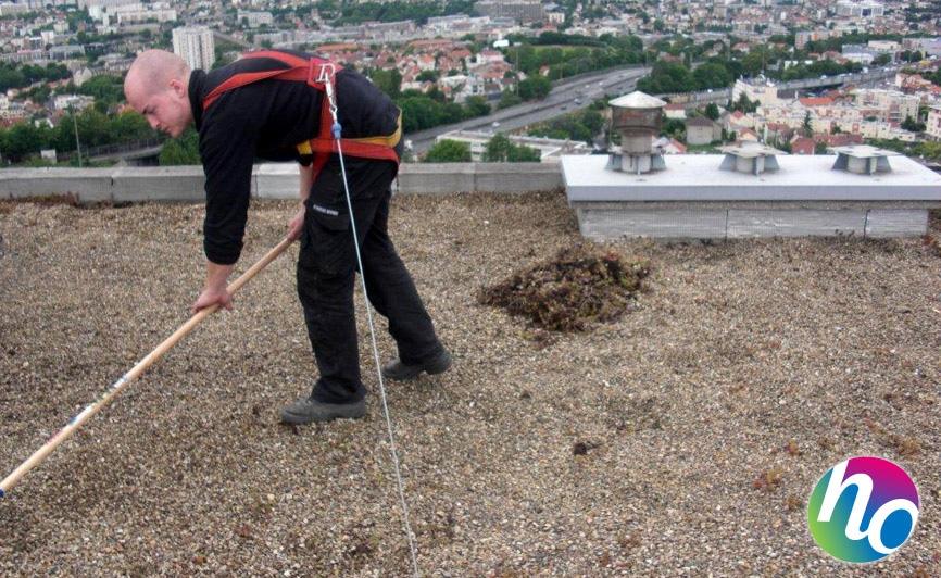 découvrez nos services de nettoyage toiture au sol, une solution sécurisée et efficace pour maintenir l'esthétique et la durabilité de votre toiture. profitez d'un entretien professionnel sans échelle, adapté à tous types de toits, pour un résultat impeccable et une protection optimale contre les intempéries.