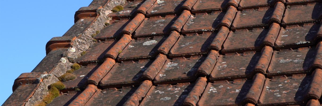 découvrez nos services professionnels de nettoyage de tuiles pour redonner éclat et longévité à votre toit. nous utilisons des techniques efficaces et respectueuses de l'environnement pour éliminer la mousse, les lichens et les salissures.