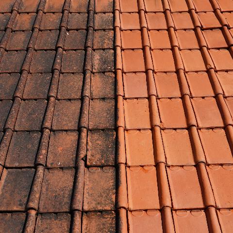 découvrez comment redonner vie à votre toiture avec notre service de nettoyage de tuiles. éliminez la mousse, la saleté et les taches pour prolonger la durée de vie de vos tuiles tout en améliorant l'esthétique de votre maison. contactez-nous pour un devis gratuit!