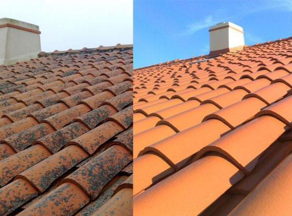 découvrez nos conseils et techniques efficaces pour nettoyer votre toit. maintenez l'intégrité de votre maison tout en prolongeant la durée de vie de votre toiture grâce à un entretien régulier. obtenez des résultats professionnels facilement et en toute sécurité!