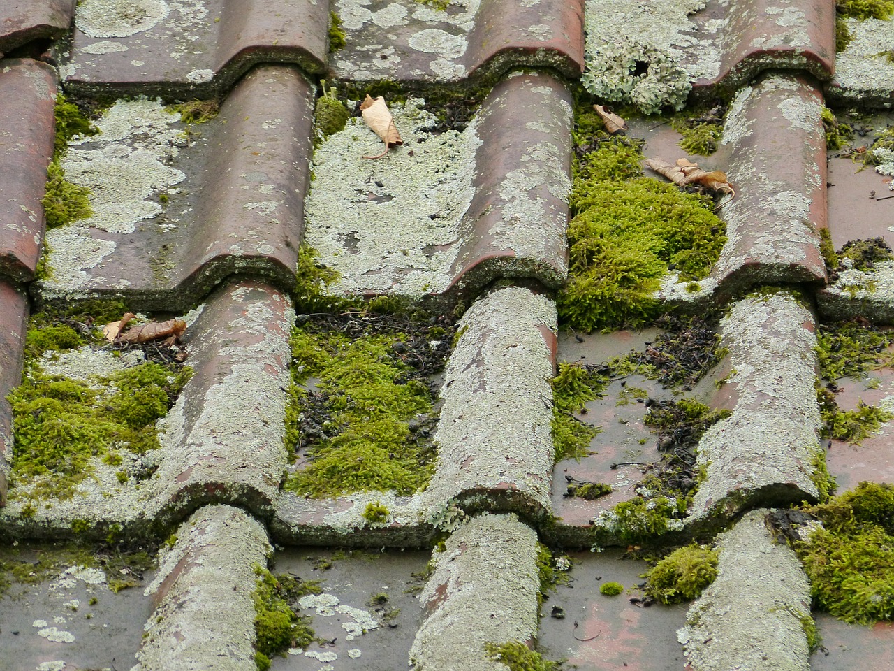 découvrez nos conseils et solutions efficaces pour nettoyer votre toit. prolongez la durée de vie de votre toiture et améliorez l'esthétique de votre maison grâce à nos astuces pratiques et produits recommandés.