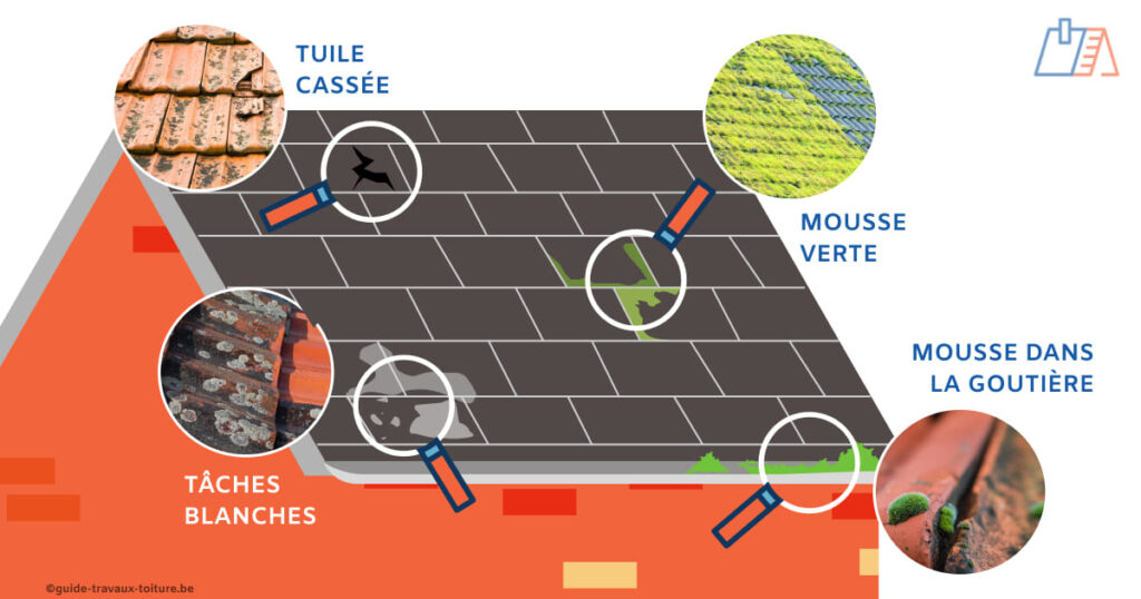 découvrez nos conseils pratiques pour nettoyer efficacement votre toit de la mousse. protégez votre maison et améliorez son apparence avec des techniques simples et des produits adaptés. ne laissez pas la mousse s'installer, agissez dès maintenant !