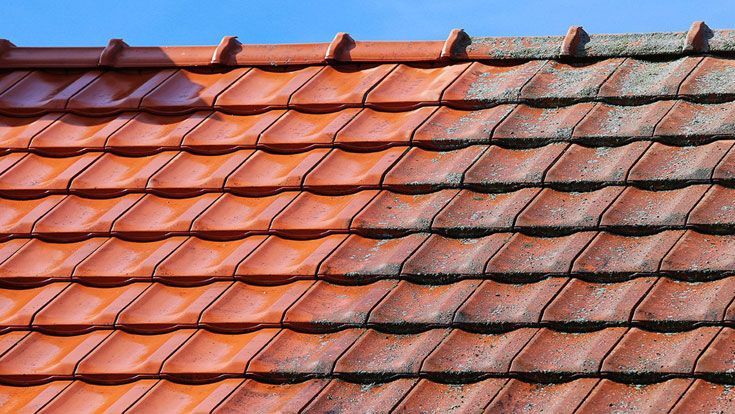 découvrez comment nettoyer efficacement votre toit de la mousse pour préserver son esthétique et sa durabilité. nos conseils pratiques et produits recommandés vous aideront à retrouver un toit propre et en parfait état.