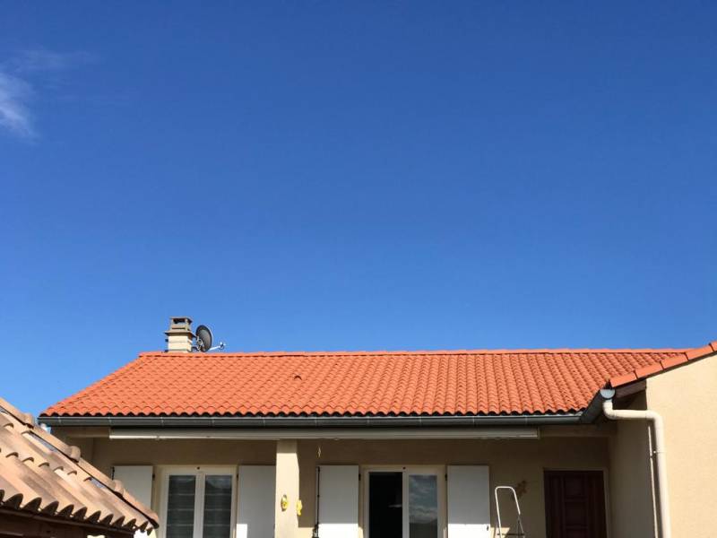 découvrez nos astuces et techniques efficaces pour nettoyer un toit noirci. retrouver l'éclat de votre toiture grâce à des solutions naturelles et des produits professionnels adaptés.