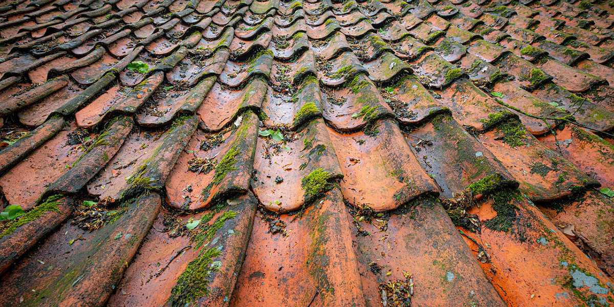 découvrez nos conseils et astuces pour nettoyer efficacement votre toit en tuiles. apprenez les techniques adaptées pour prolonger la durée de vie de vos tuiles et maintenir l'esthétisme de votre toiture.