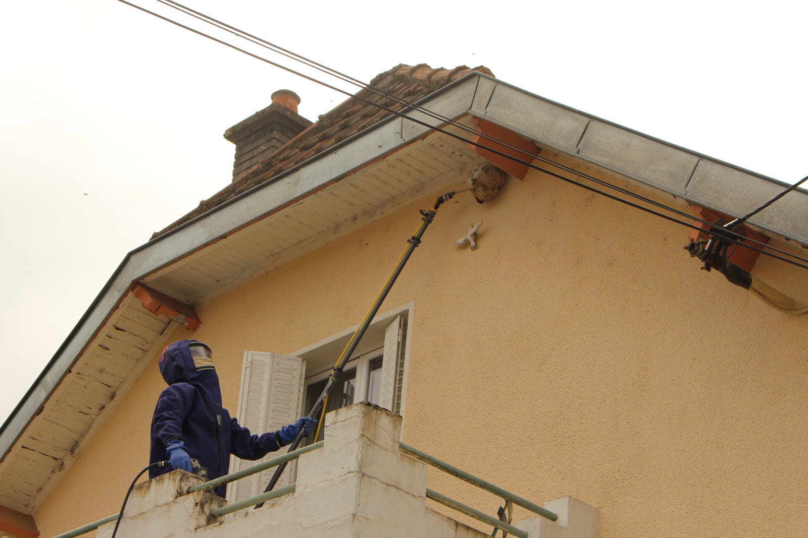 découvrez comment créer un nid sous toit, un espace chaleureux et accueillant pour votre famille. transformez vos combles en un havre de paix tout en optimisant votre habitat. idées inspirantes et conseils pratiques à suivre pour un aménagement réussi.