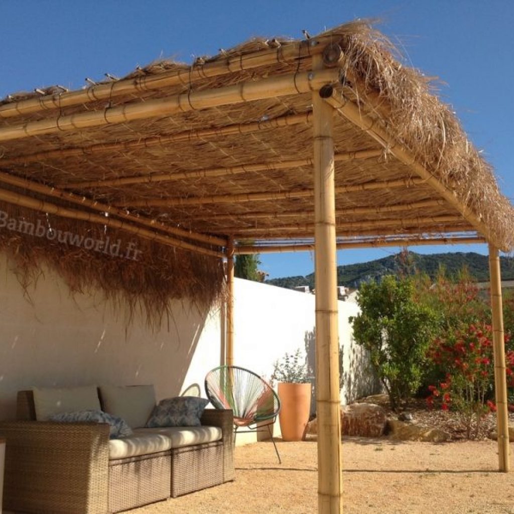 découvrez comment le paillage pour pergola peut transformer votre espace extérieur en un havre de paix, alliant esthétique et fonctionnalité. protégez-vous du soleil tout en embellissant votre jardin avec des matériaux naturels et durables.